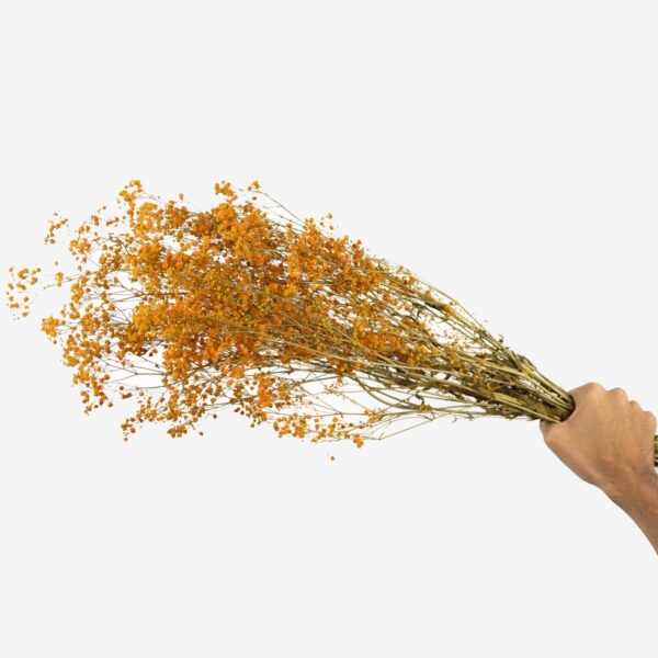 Langtidsholdbar brudeslør i Orange - Præserveret blomster bundt