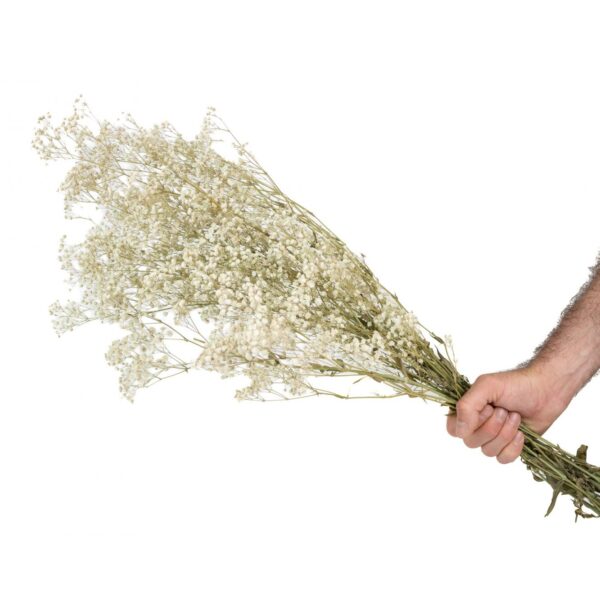Langtidsholdbar brudeslør i Hvid - Præserveret blomster bundt