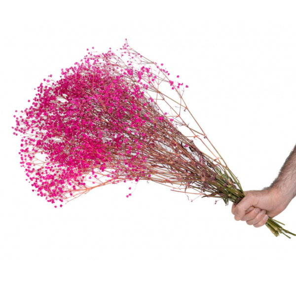 Langtidsholdbar brudeslør i Fuxia - Præserveret blomster bundt